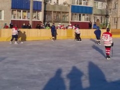 Соседи сыграли в хоккей (2)