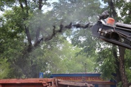 Ямочный ремонт возобновился в Биробиджане после продолжительных дождей (24)