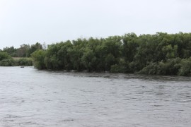Река Бира в 11.51 7 сентября (1)
