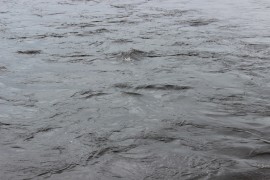 Река Бира в 11.51 7 сентября (3)