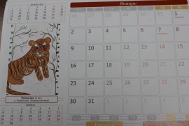 Юные художники Биробиджана приняли участие в издании тигриного календаря (3)