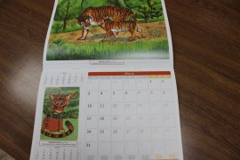 Юные художники Биробиджана приняли участие в издании тигриного календаря (7)