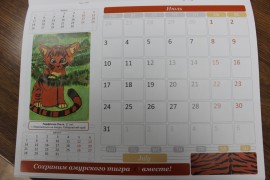 Юные художники Биробиджана приняли участие в издании тигриного календаря (8)