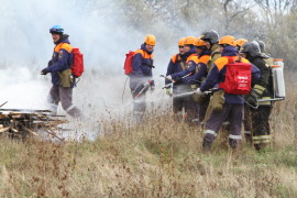 Тушение лесных пожаров, угрожающих населенным пунктам (53)
