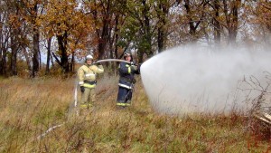 Тушение лесных пожаров, угрожающих населенным пунктам (22)