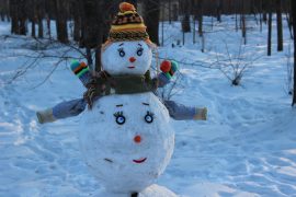 snegoviki-ukrasili-park-kulturyi-i-otdyiha-15