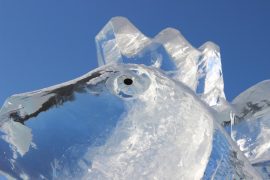 ledovyie-skulpturyi-dorozhayut-s-kazhdyim-dnem-v-birobidzhane-12
