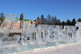 ledovyie-skulpturyi-dorozhayut-s-kazhdyim-dnem-v-birobidzhane-14