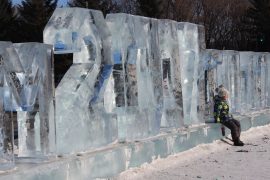 ledovyie-skulpturyi-dorozhayut-s-kazhdyim-dnem-v-birobidzhane-15