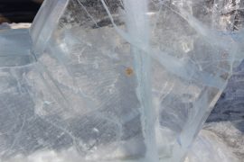 ledovyie-skulpturyi-dorozhayut-s-kazhdyim-dnem-v-birobidzhane-16