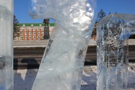 ledovyie-skulpturyi-dorozhayut-s-kazhdyim-dnem-v-birobidzhane-17