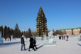 ledovyie-skulpturyi-dorozhayut-s-kazhdyim-dnem-v-birobidzhane-3