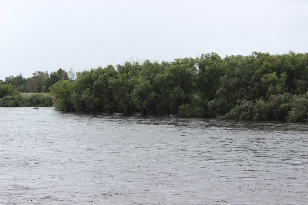 Река Бира. Река ин ЕАО. Фото речки Лопатины ЕАО. Никольское амурская область