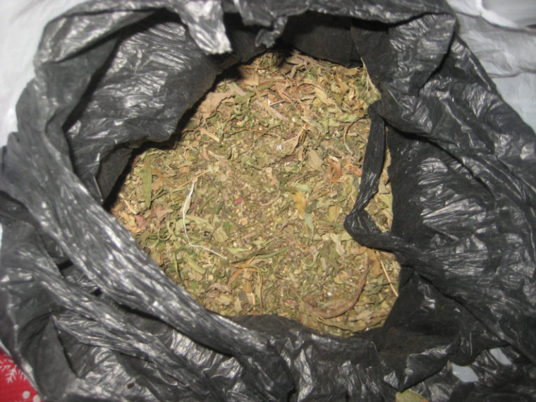 Пакет марихуана отвар конопляного семени миома