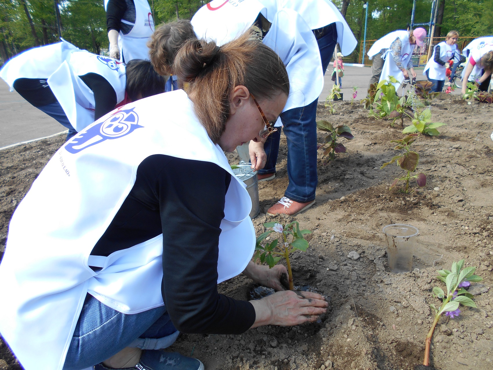 Волонтеры цветы. Посадка цветов волонтерами. Мы с волонтерами садим цветы. Волонтеры в парк Горького сажают цветы. Волонтеры-медики сажают цветы.
