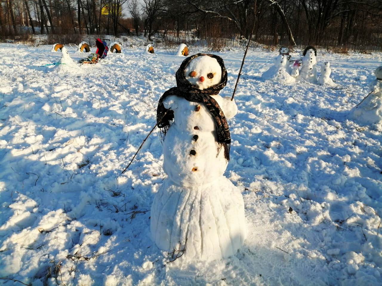 Снеговей. Конкурс снеговиков. Снеговик на конкурс фотографий. Снеговик осенью. Снеговик крокодил.