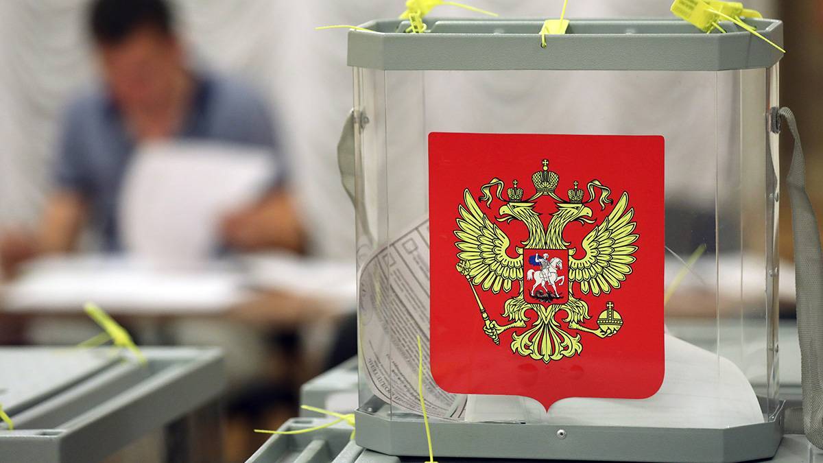 Все 30 мандатов получили по итогам голосования в ЕАО представители Единой России
