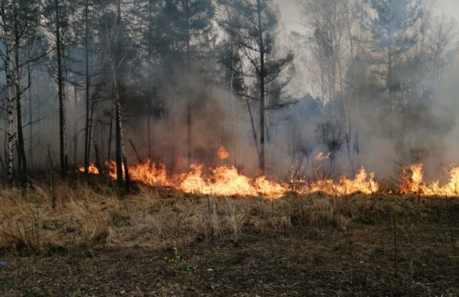 Тёплая и сухая погода может способствовать росту лесных пожаров в ЕАО в октябре