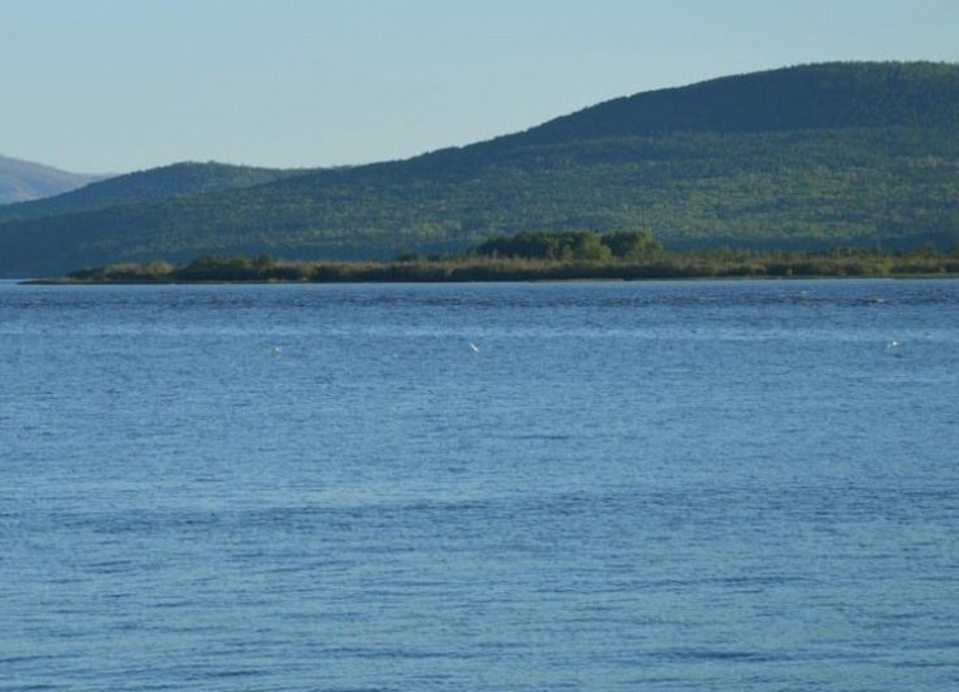 Береговую линию реки Амур в ЕАО определили по требованию природоохранной прокуратуры