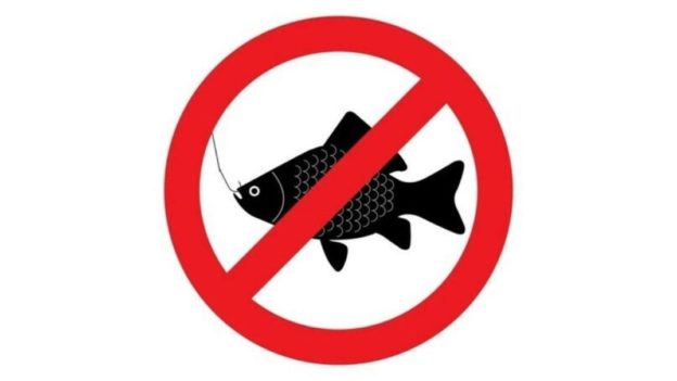 запрет на рыбалку в еао