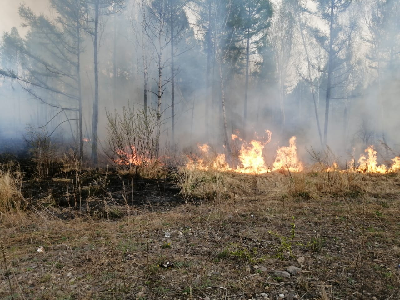 Борьба с лесными пожарами продолжается в ЕАО