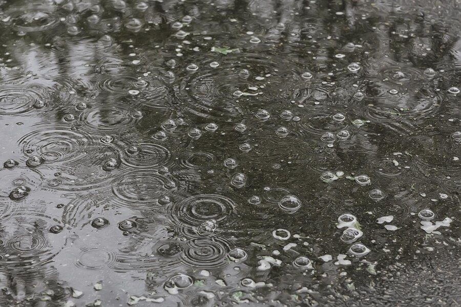 Грозовые дожди пройдут во всех районах автономии  прогноз погоды в ЕАО на 9 июля