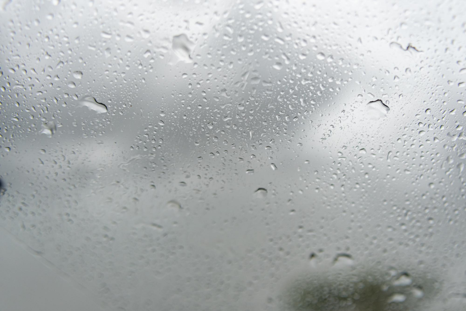 Обильные дожди пройдут в районах автономии  прогноз погоды в ЕАО на 8 июля