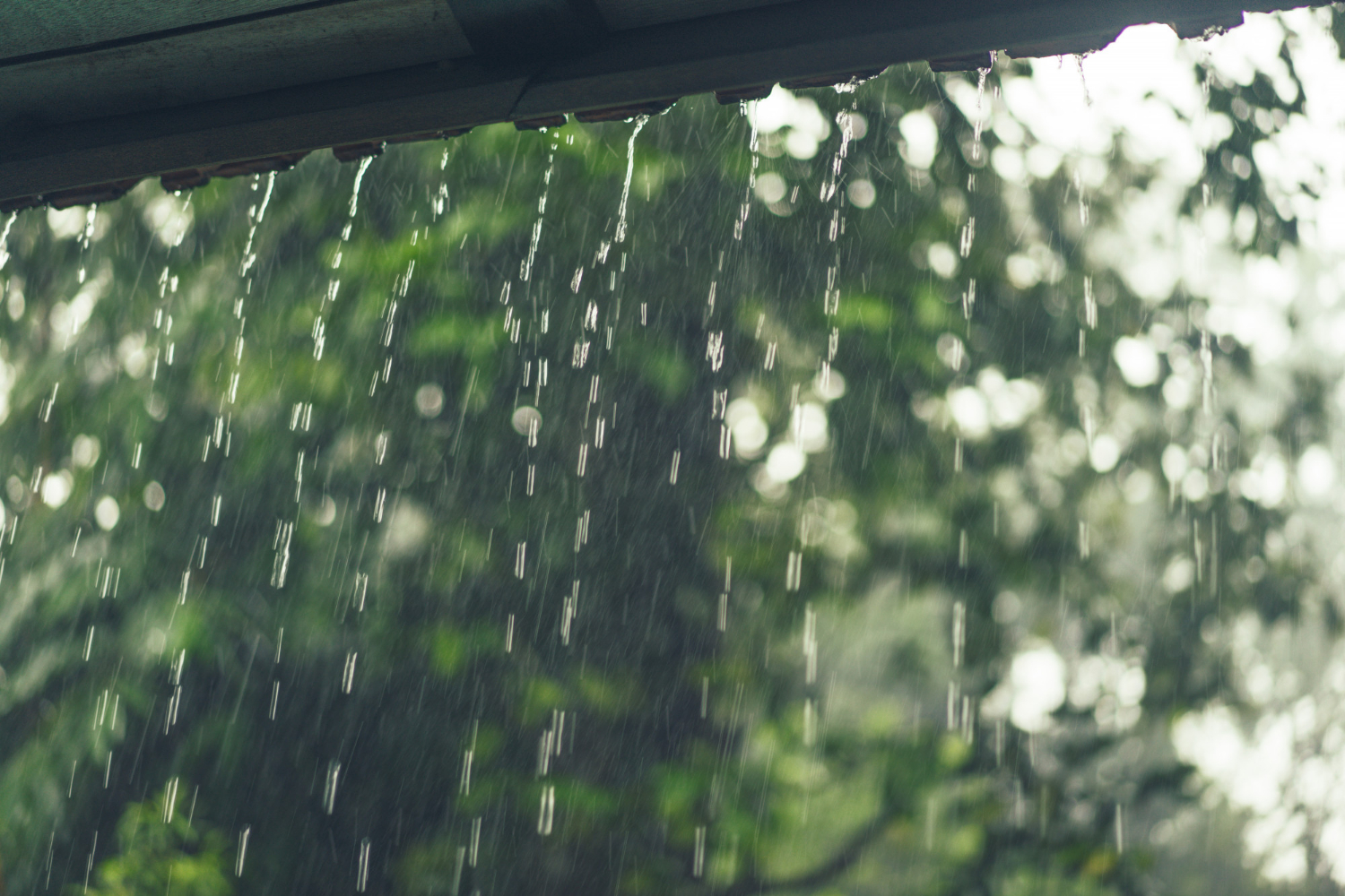 Обильные дожди с грозами пройдут в автономии  прогноз погоды в ЕАО на 5 августа