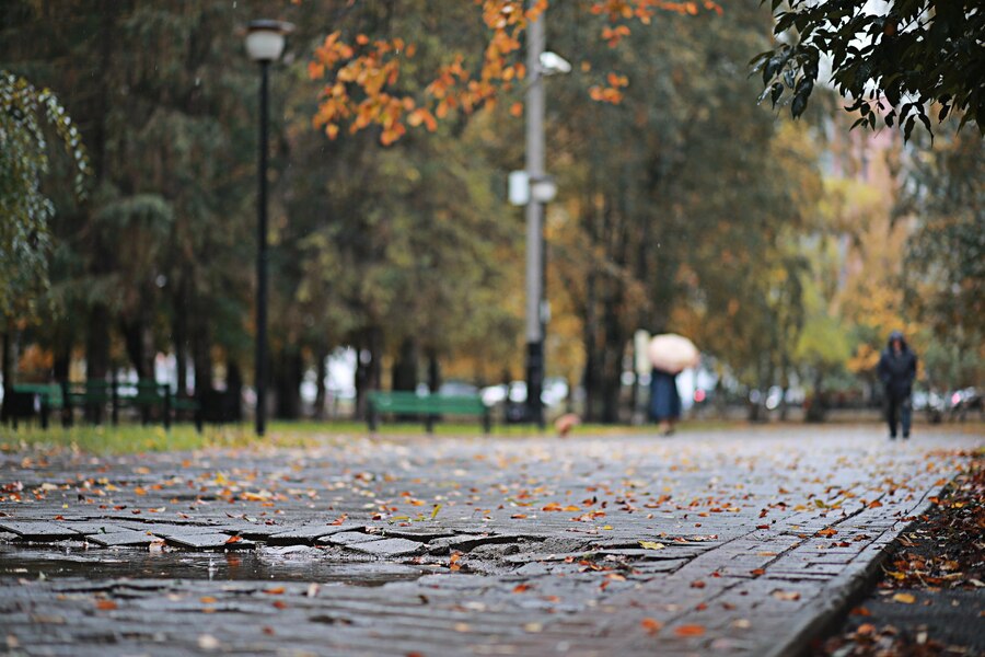 Дожди снова пройдут в автономии  прогноз погоды в ЕАО на 1 октября