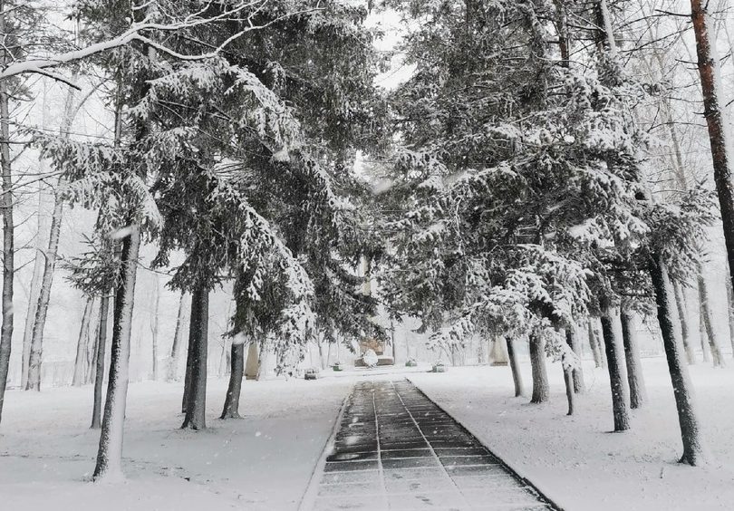 Снег вновь пройдёт в районах автономии  прогноз погоды в ЕАО на 26 ноября