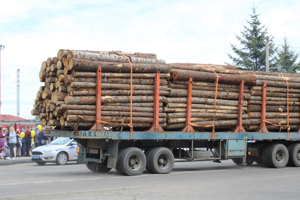 Ускорить отправку леса за рубеж с помощью взятки пытался житель Хабаровска в ЕАО