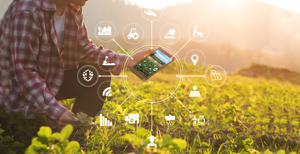 Новый цифровой сервис РСХБ в экосистеме Своё Фермерство позволит удвоить производительность агробизнеса (18)