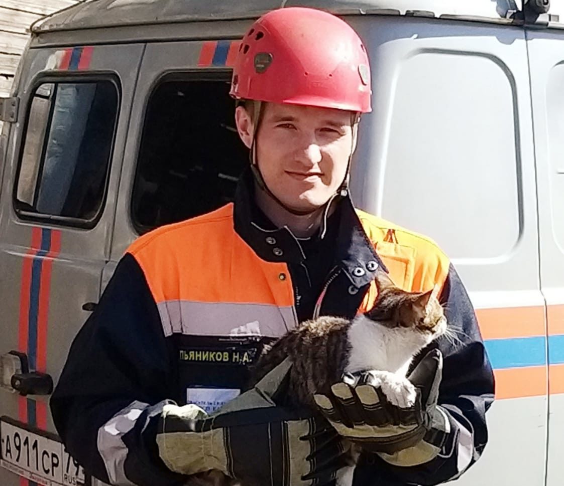 Истошно кричащего кота помогли снять с высоты спасатели Биробиджана