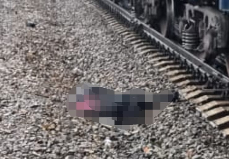 Насмерть сбил поезд двух человек на железнодорожном переезде станции Ин в ЕАО