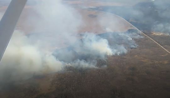 Проверку по факту пожара в заповеднике Бастак в ЕАО проводит природоохранная прокуратура