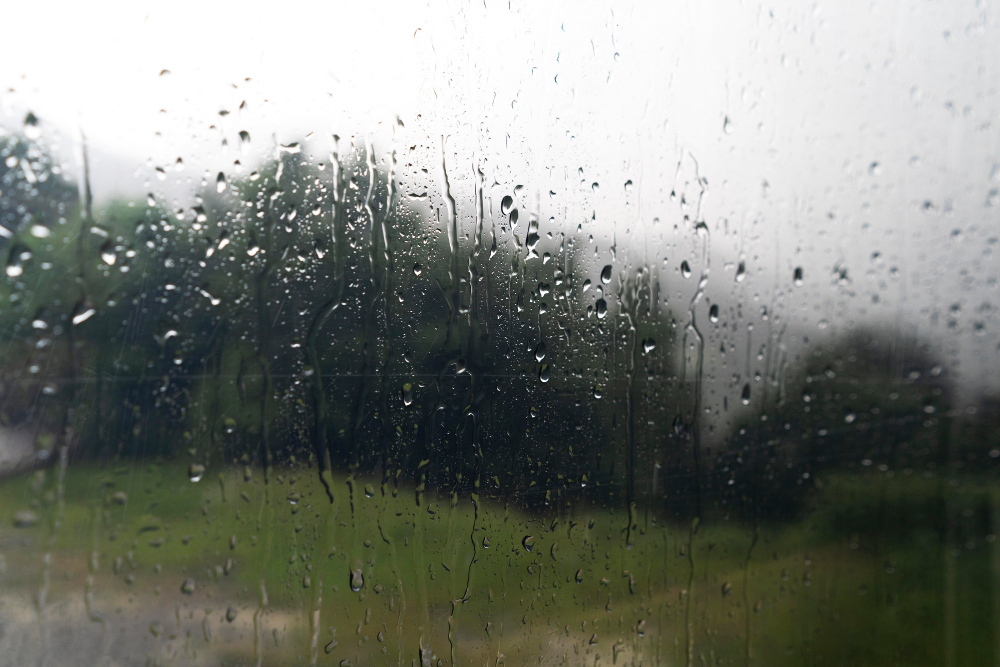 С дождливой погоды начнётся рабочая неделя в автономии  прогноз погоды в ЕАО на 15 мая