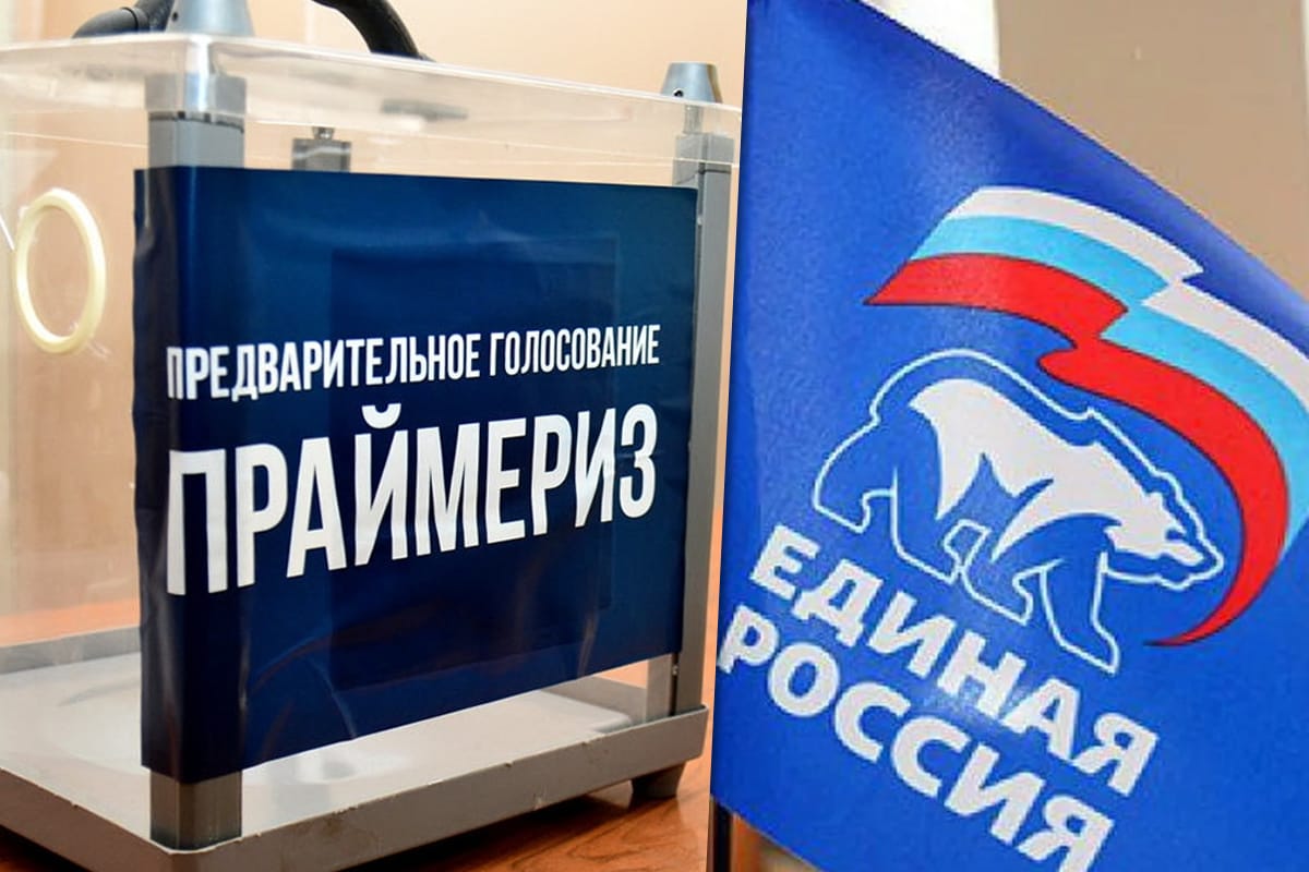 В ЕАО подвели промежуточные итоги предварительного голосования Единой России