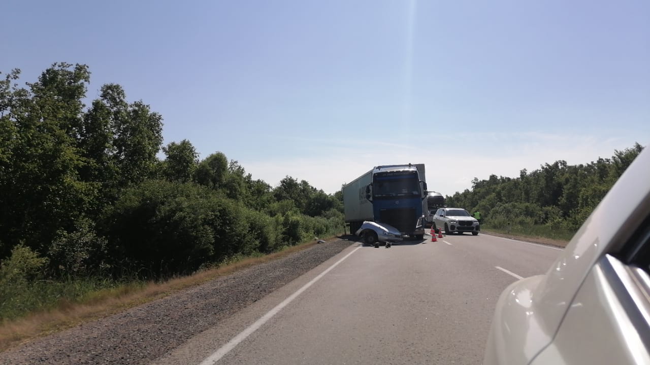 Водитель и пассажир легковушки погибли при столкновении с автовозом в  районе п. Николаевка ЕАО | РИА Биробиджан