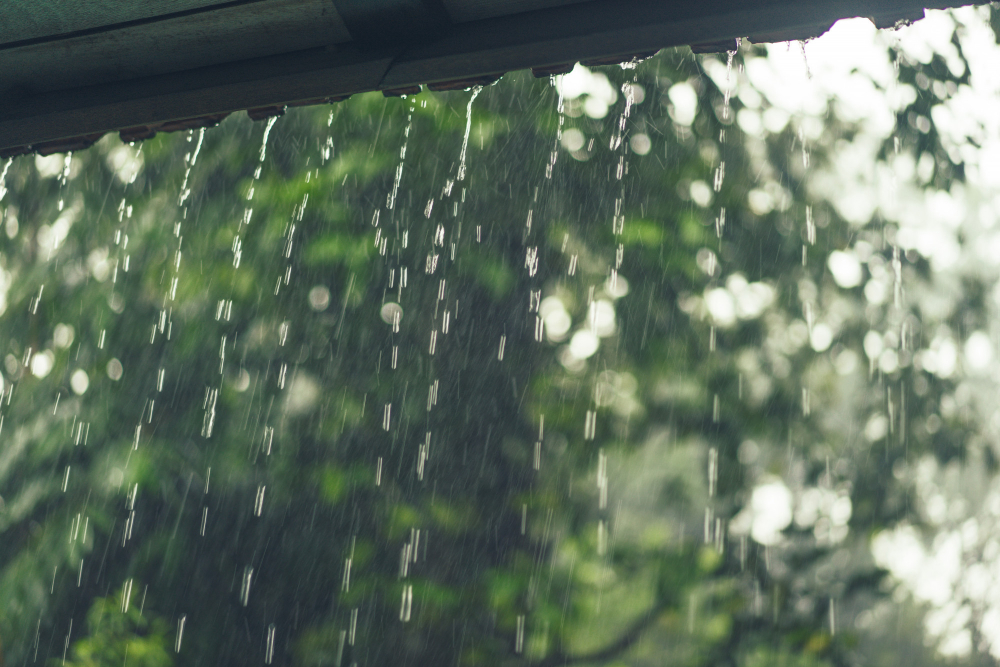 Дождь с грозой ожидается в автономии  прогноз погоды в ЕАО на 2 июня