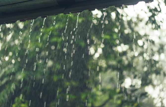 Дождь с грозой ожидается в автономии — прогноз погоды в ЕАО на 2 июня