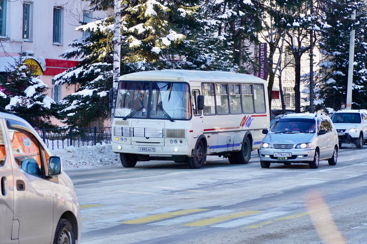 Автобусы развезут биробиджанцев по домам после новогоднего представления |  РИА Биробиджан