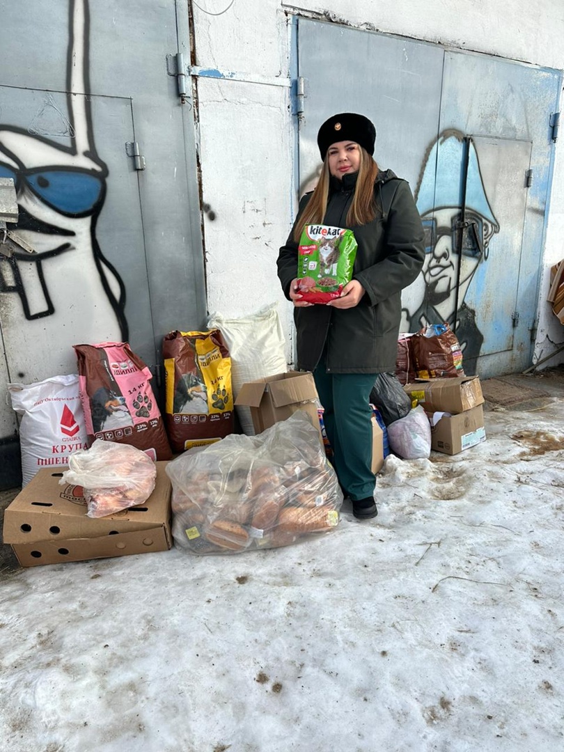 Таможня дала «добро» приютам для собак и кошек в ЕАО | 05.01.2024 |  Биробиджан - БезФормата