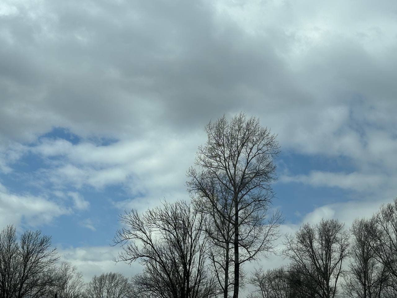 Переменная облачность ожидает районы автономии  прогноз погоды в ЕАО на 11 апреля