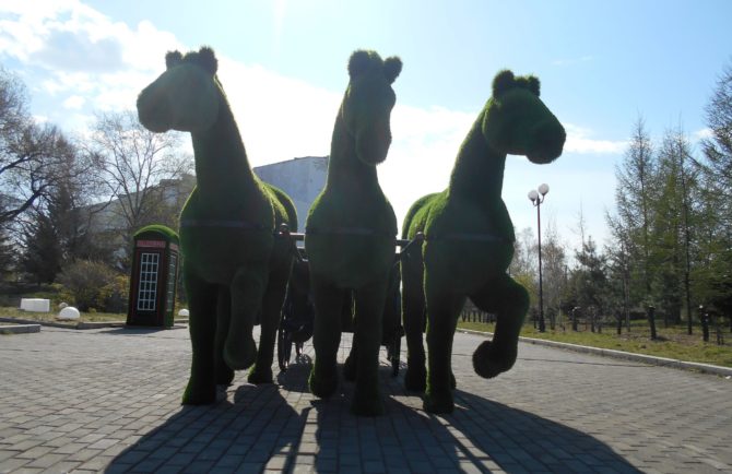 Ждали «прилёта» павлинов, а «прискакали» кони с контрабасом: в Биробиджане создают аллею топиарных скульптур