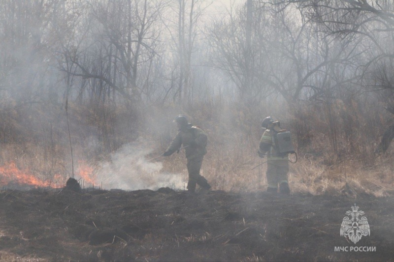 Опять лесные пожары: прошедших дождей хватило ненадолго в ЕАО
