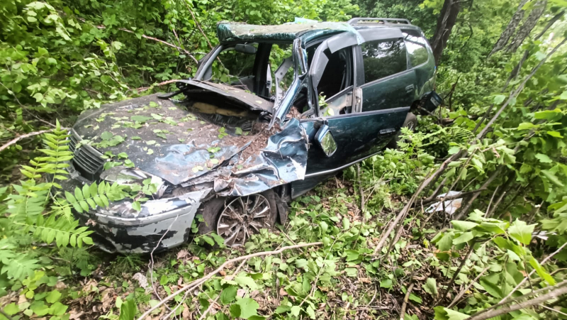 Пьяный водитель пострадал в ДТП с деревом в Биробиджане