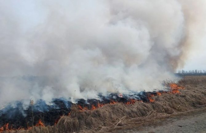 Режим ЧС отменили в лесах Биробиджанского района ЕАО